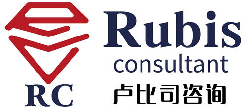 提升企業運營效率 上海盧比司企業管理咨詢的專業服務